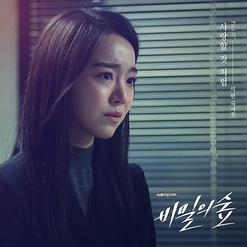 ‘비밀의 숲’, 마이틴 실력파 보컬 시헌 OST 참여