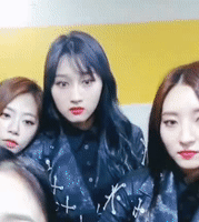 1.gif