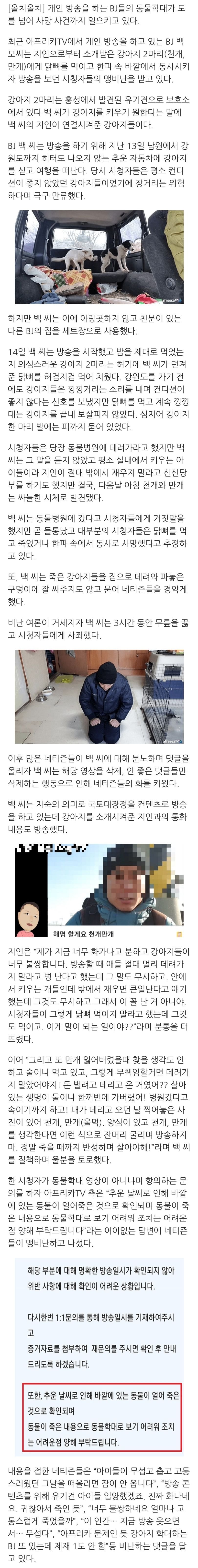 강아지 2마리 닭뼈 먹이고 동사시킨 BJ