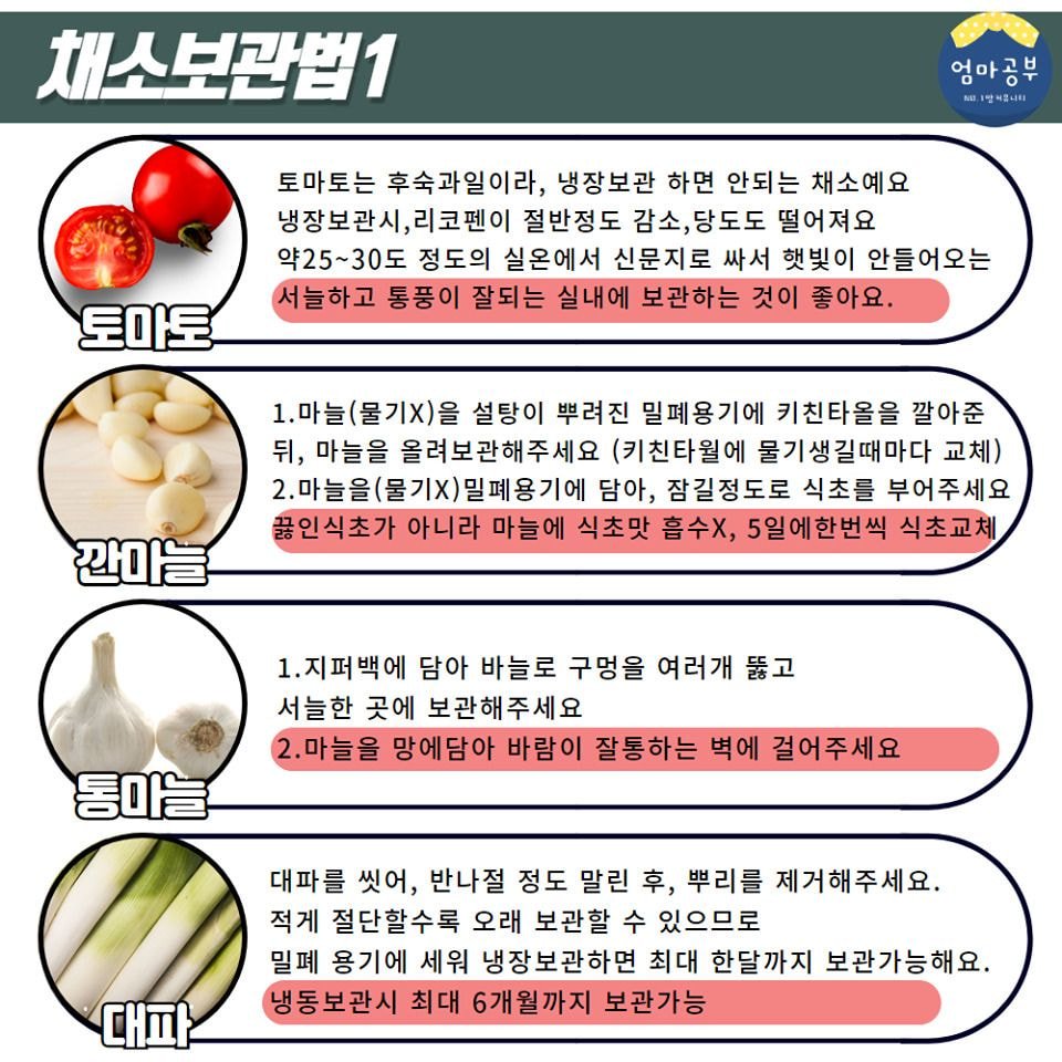 금방 상해버리는 채소20종 오래보관하는법