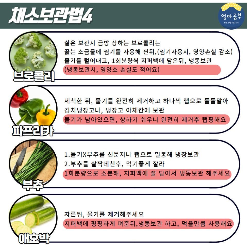 금방 상해버리는 채소20종 오래보관하는법