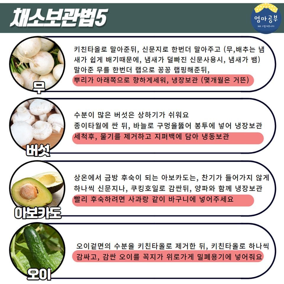 금방 상해버리는 채소20종 오래보관하는법