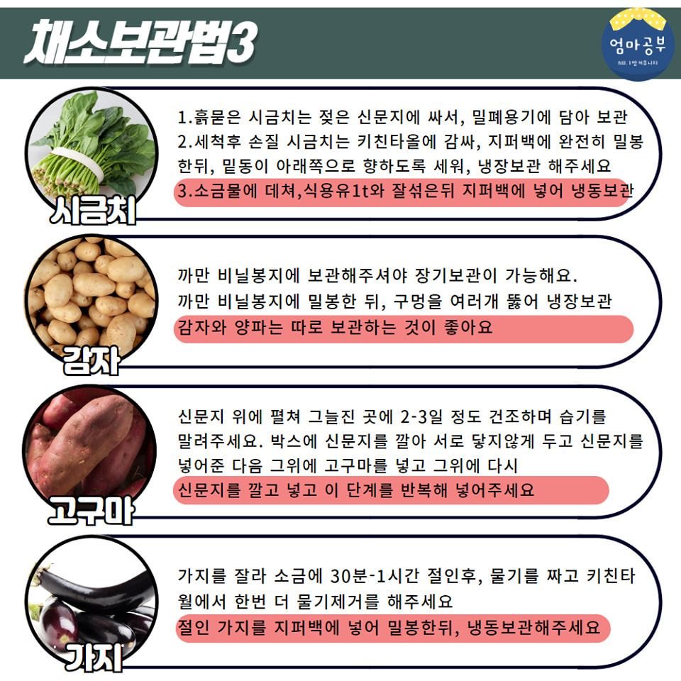 금방 상해버리는 채소20종 오래보관하는법