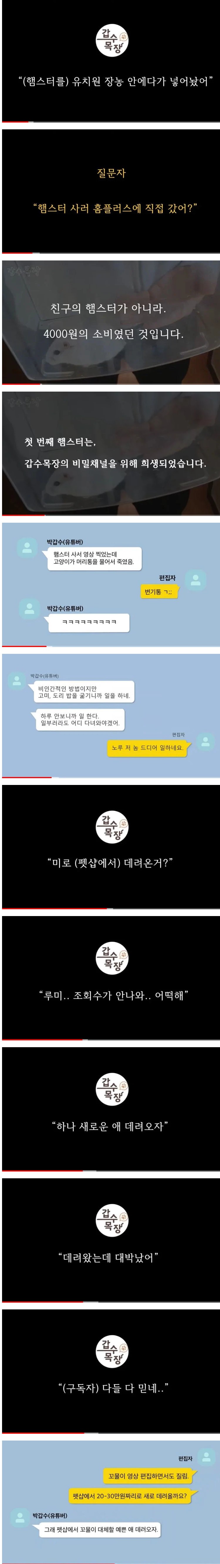 구독자 50만 고양이 유튜버 <갑수목장> 학대, 주작 논란