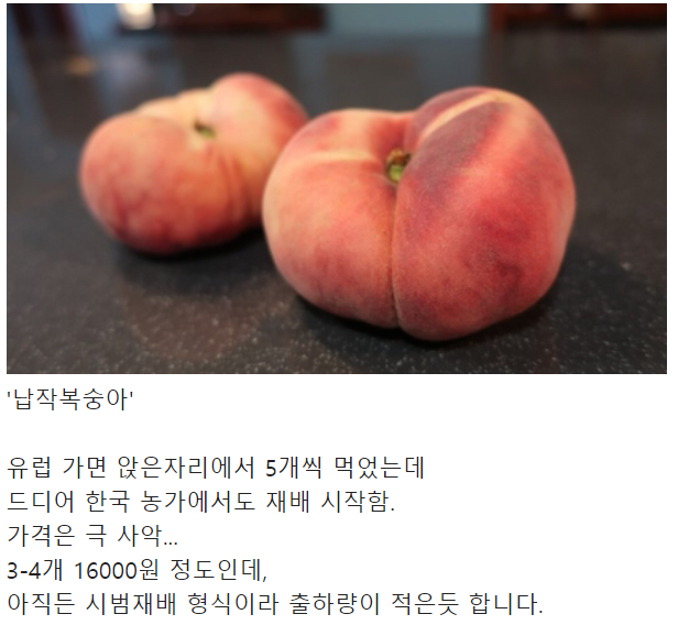 드디어 한국에 상륙하는 과일 (납작복숭아)