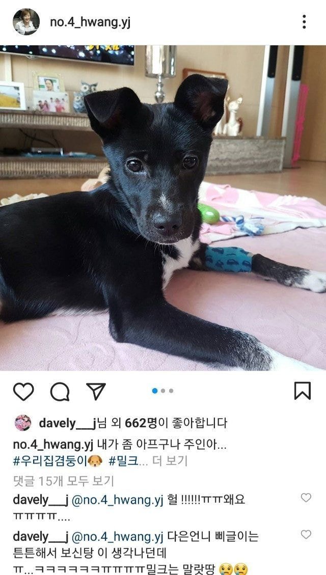 현재 여자배구 지금까지 상황 정리