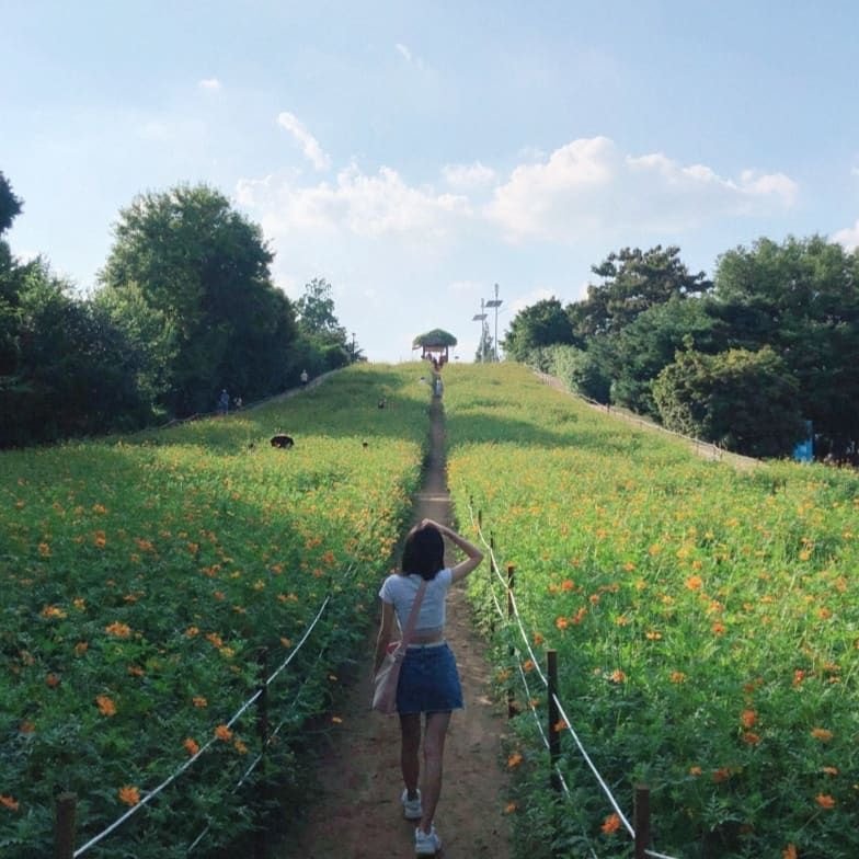 f448cab2acf8deea65d38d1573bee745_1617612935_8903.jpeg f448cab2acf8deea65d38d1573bee745_1617612935_8903.jpeg