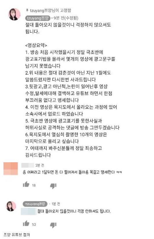 “한달 뒤 돈 떨어지면 돌아옴” 댓글에 쯔양이 쇄기박은 문구