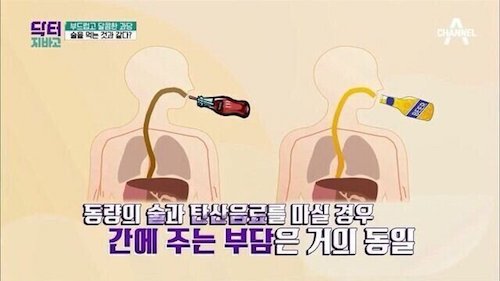 탄산음료의 충격적인 사실