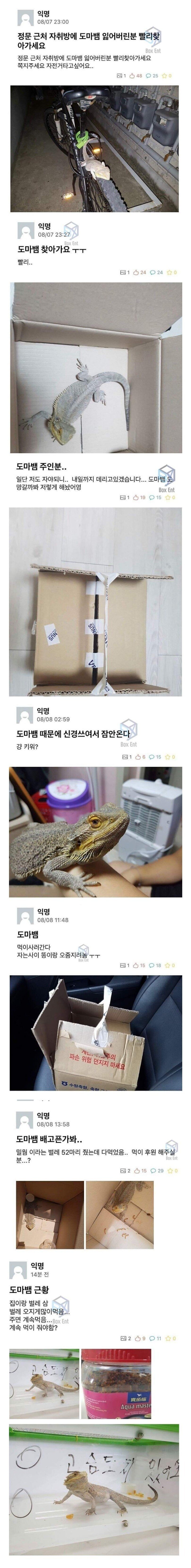 전설의 도마뱀 