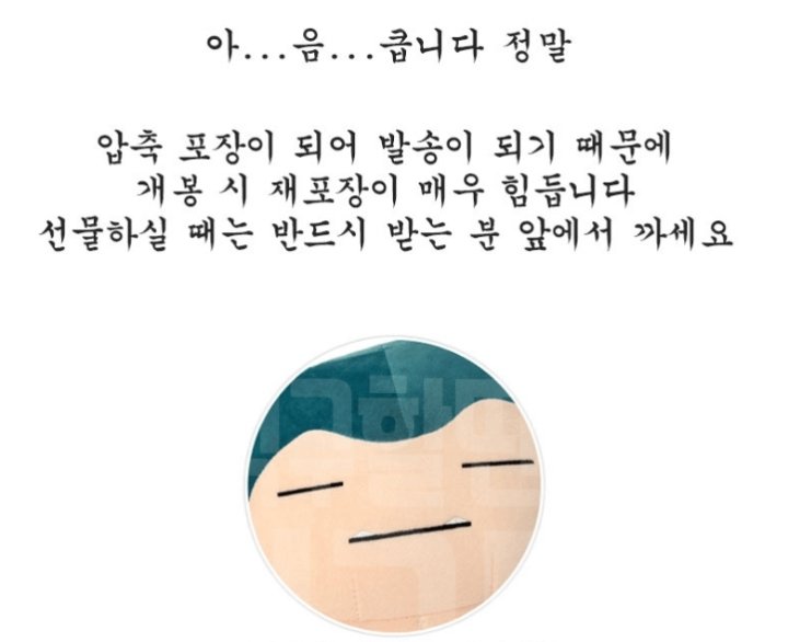 여친 주려고 산 잠만보 인형..jpg