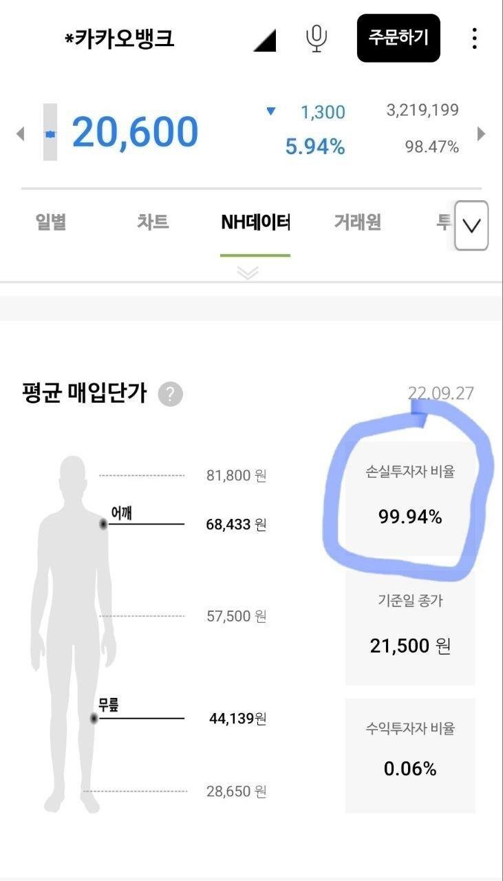 주주의 99.94%가 물려있는 주식이 있다!?.kakao