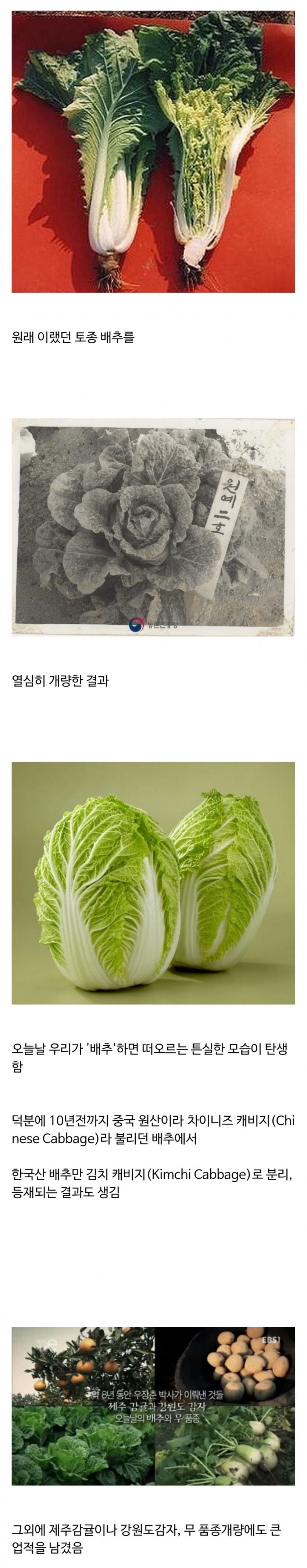 농학자 우장춘 박사의 업적.jpg