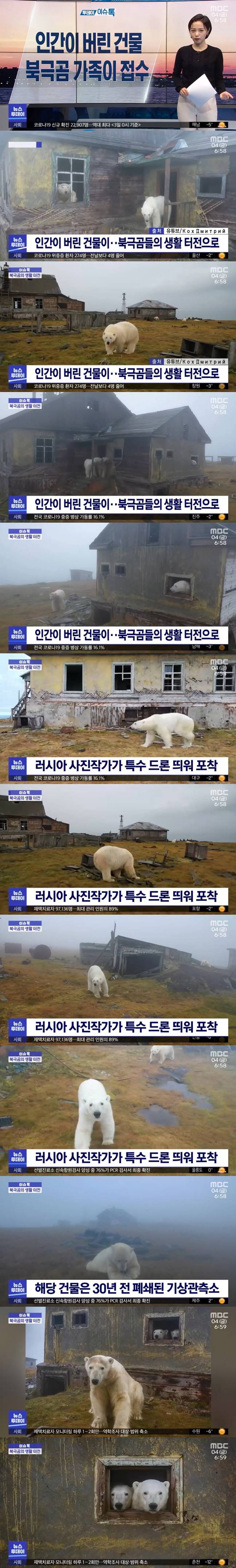 인간이 버린 건물에 입주한 북극곰 가족.jpg