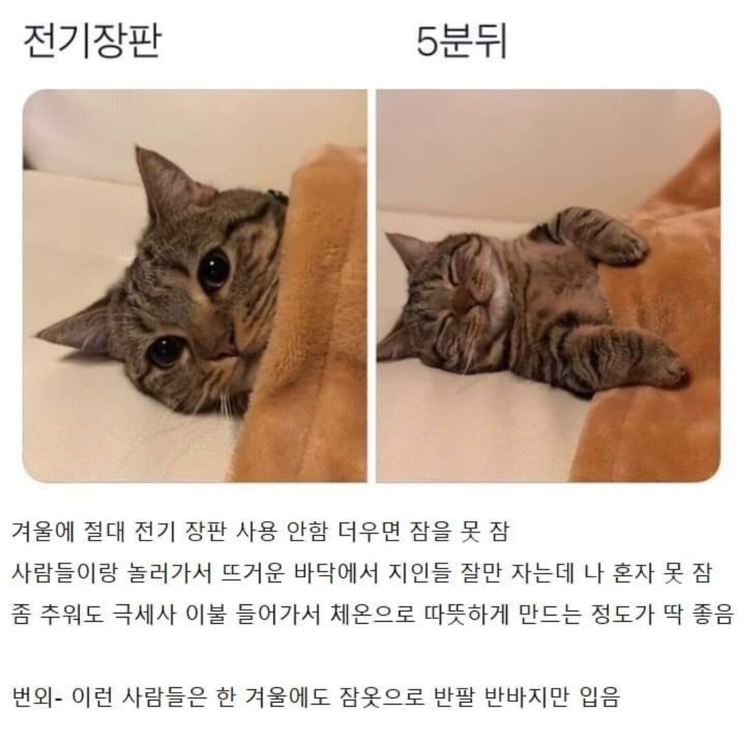 평소 몸에 열이 많은 사람들 특징.jpg