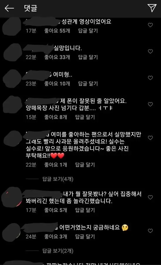 여행에 미치다 SNS 음란물 영상 게재 사건