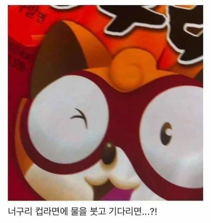 아무도 몰랐던 너구리 컵라면의 비밀