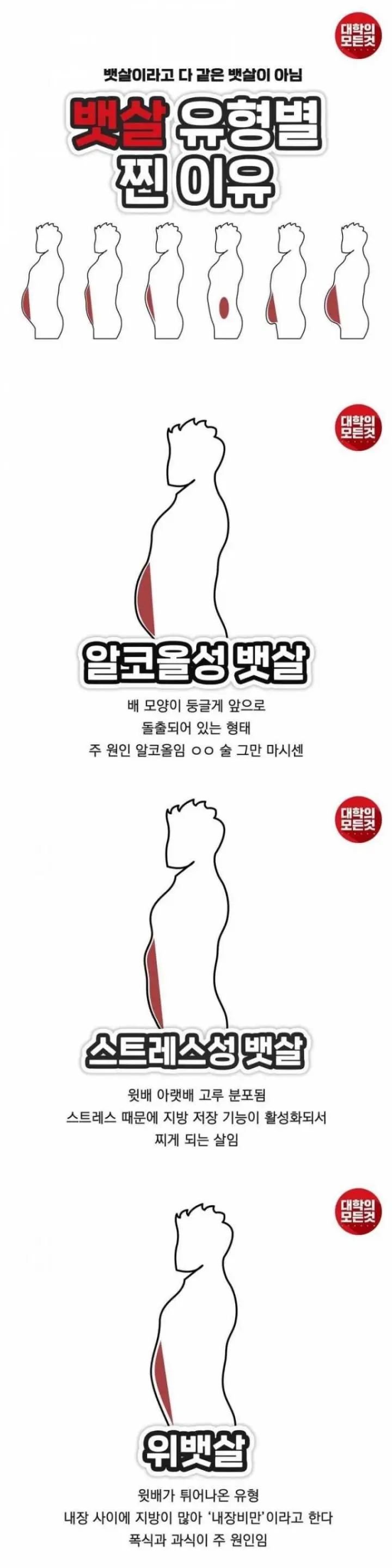 뱃살 유형별 '살 찐 이유'