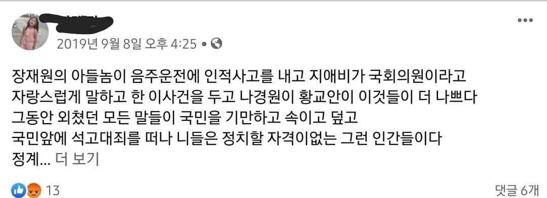 피살 공무원 친형 페이스북 글들