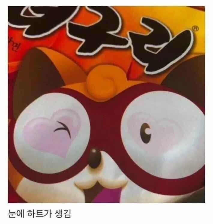 아무도 몰랐던 너구리 컵라면의 비밀