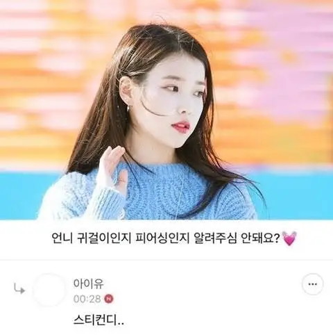 아이유 스티컨디존