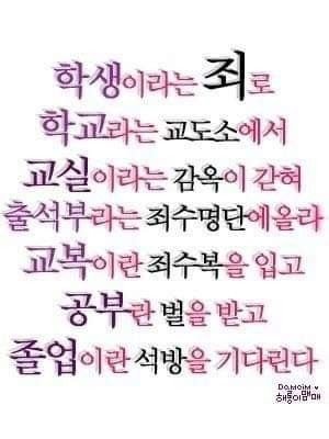 싸이월드 재오픈 기념 프사 미리 풀기