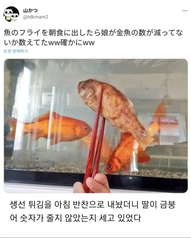 아침마다 이상한 행동을 하는 딸