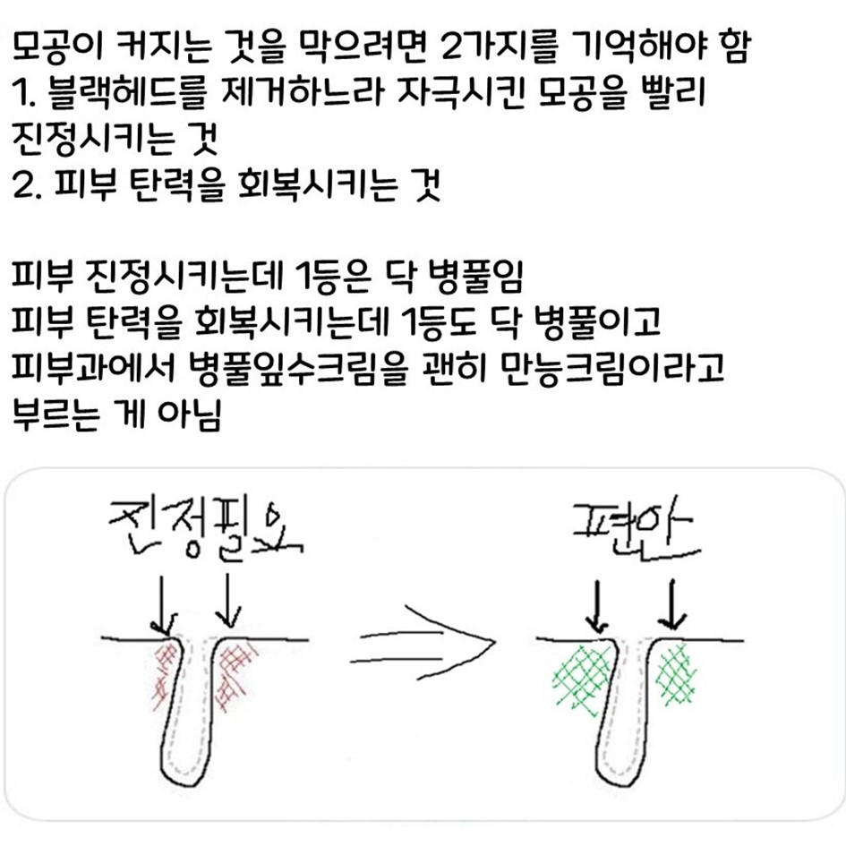 바쁘다 바빠 현대사회에서 살아남기 feat.발그림