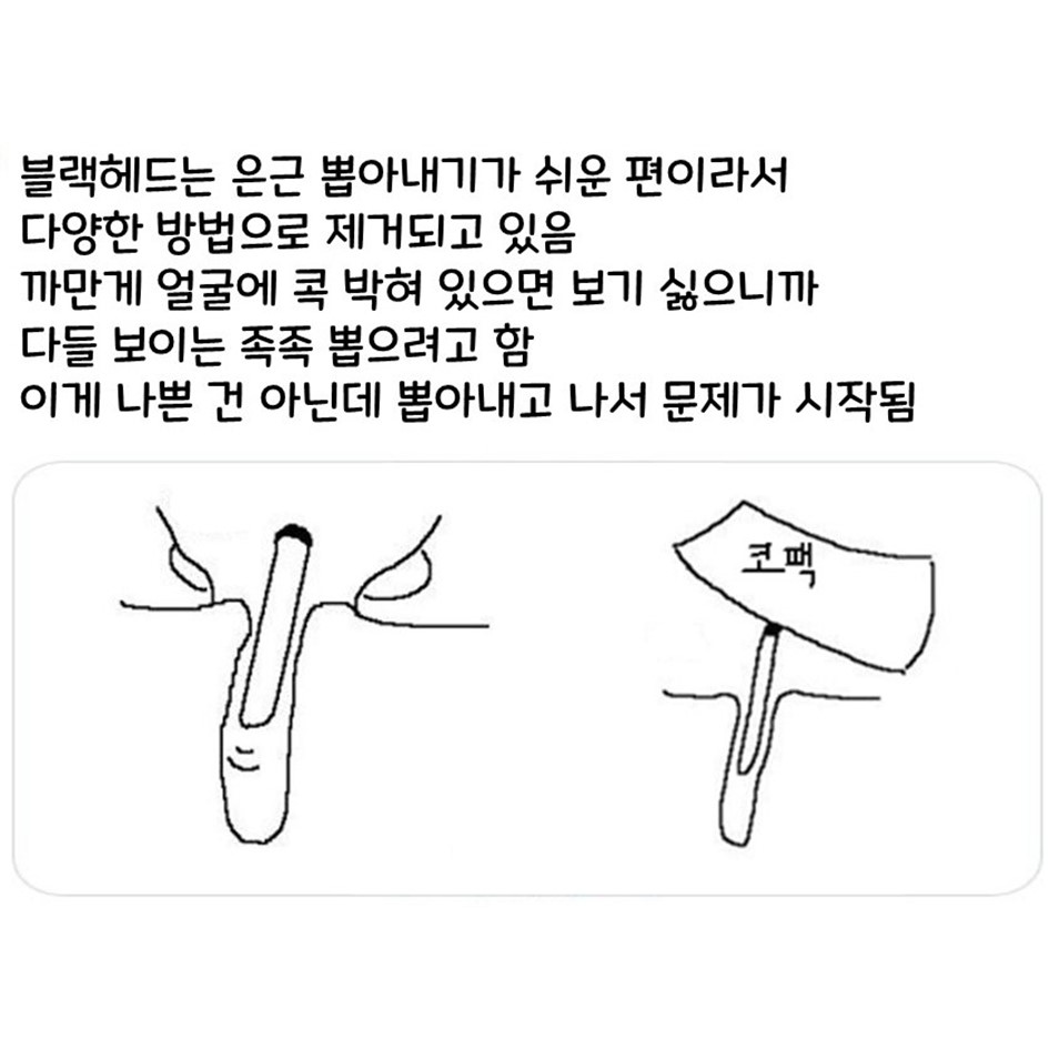 바쁘다 바빠 현대사회에서 살아남기 feat.발그림