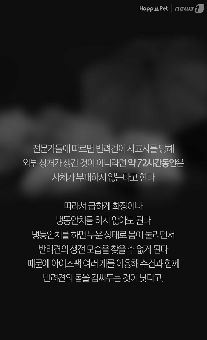 강아지가 무지개다리를 건넜어요 - 죽음에 대해 미리 준비하기