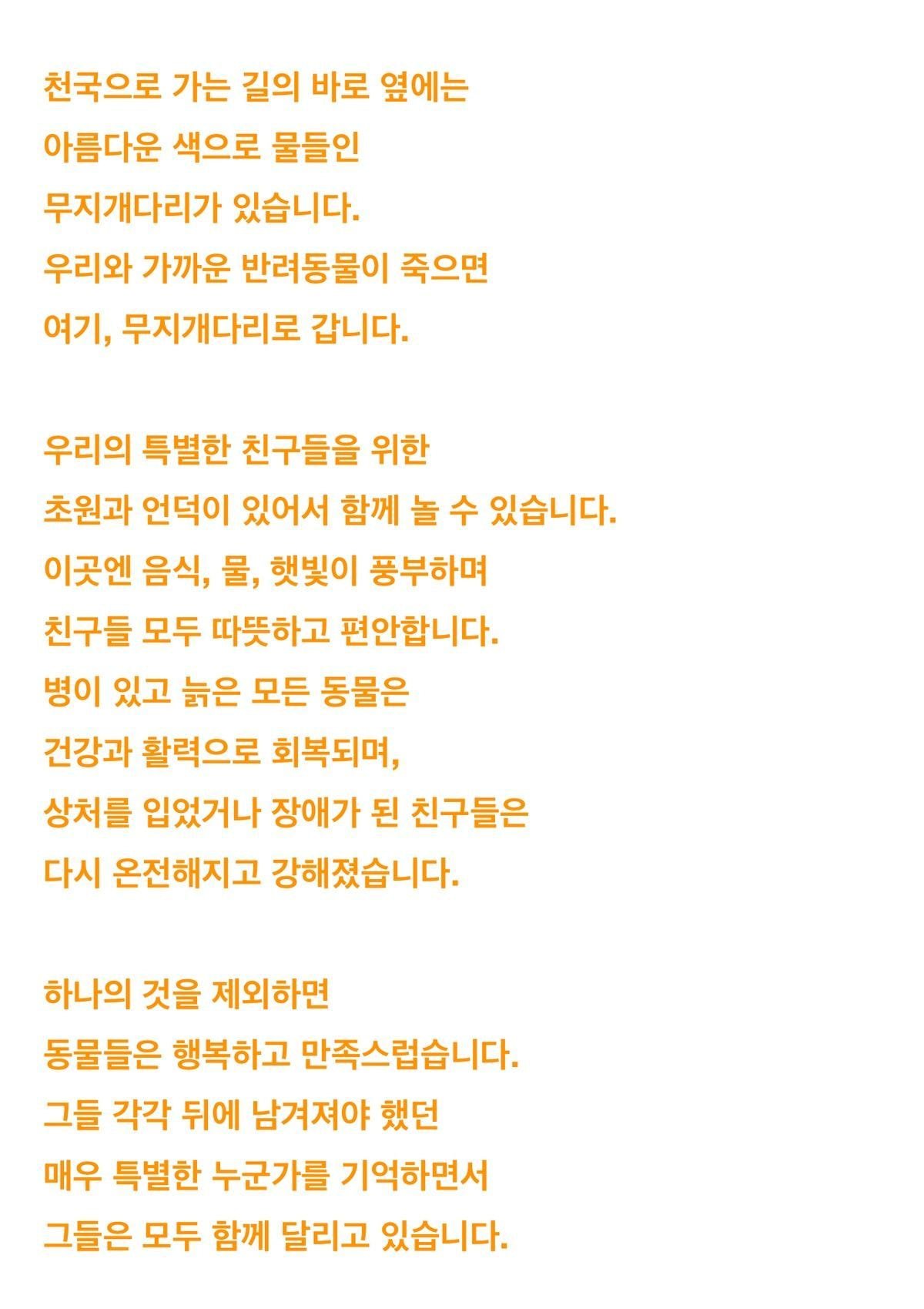 강아지가 무지개다리를 건넜어요 - 죽음에 대해 미리 준비하기