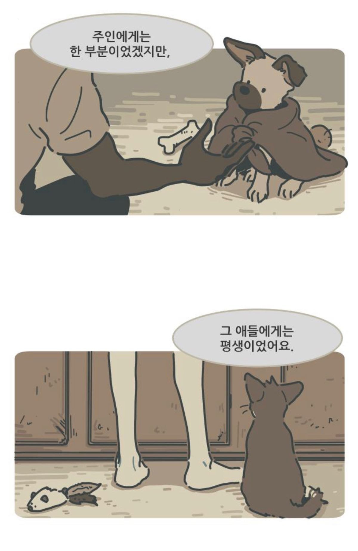 강아지가 무지개다리를 건넜어요 - 죽음에 대해 미리 준비하기