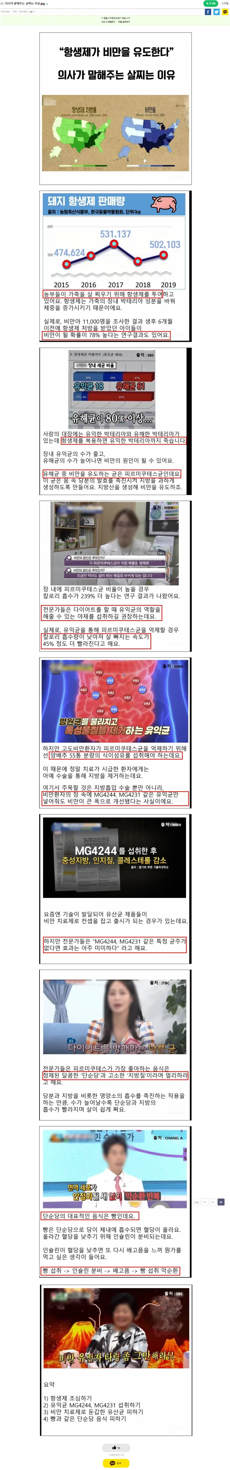 의사가 말해주는 살찌는 이유