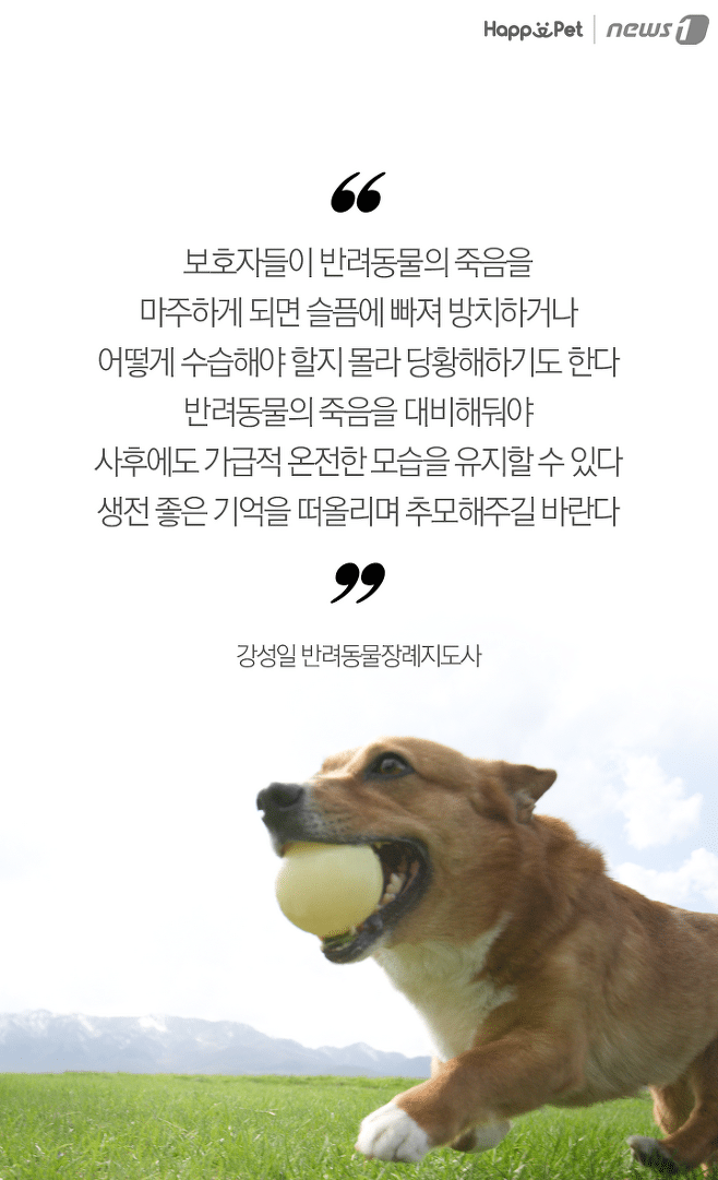 강아지가 무지개다리를 건넜어요 - 죽음에 대해 미리 준비하기