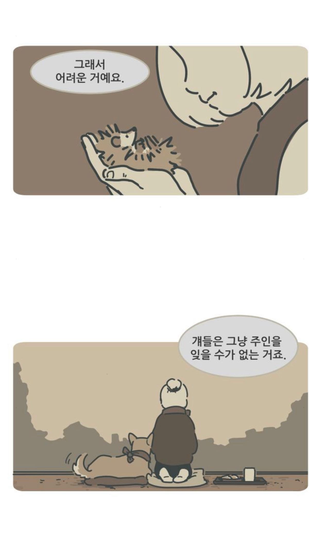 강아지가 무지개다리를 건넜어요 - 죽음에 대해 미리 준비하기