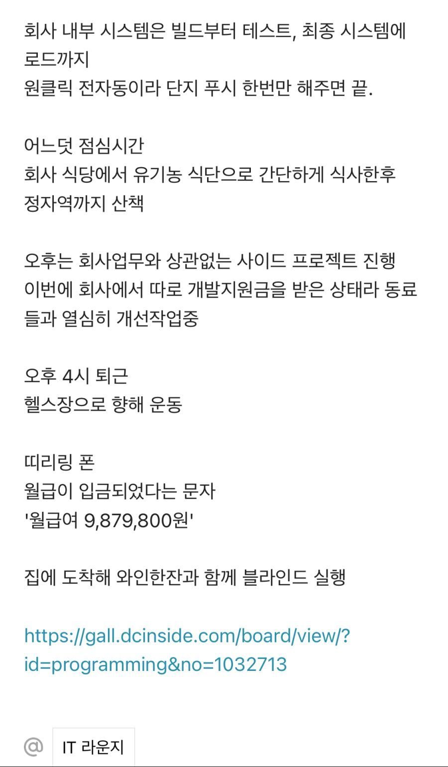 판교 개발자의 삶 (이상과 현실)