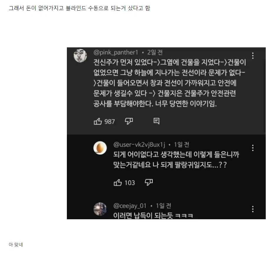 전기줄이 노란 곳에 살고 있는 안선영