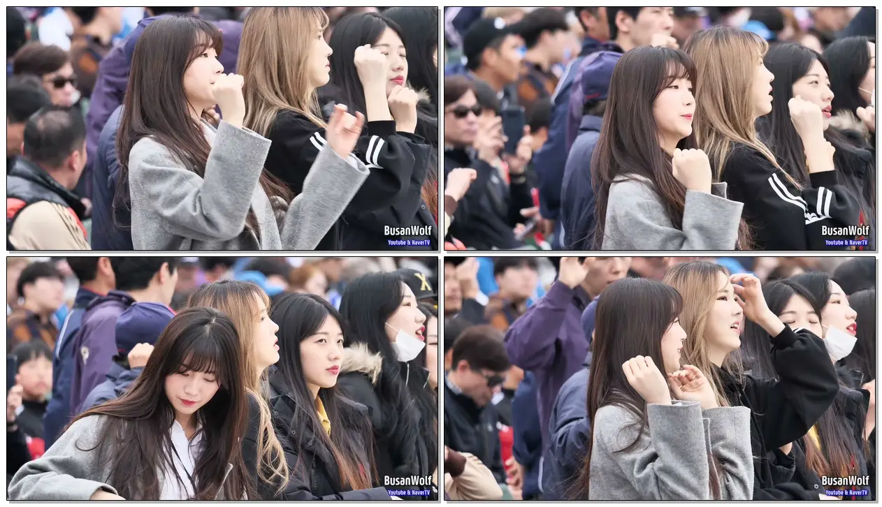 롯데자이언츠 치어리더 안지현 (Ahn Jihyun) 직캠 2019.03.20 사직구장 프로야구 시범경기
