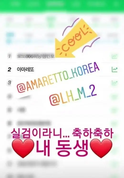 혜리 `아마레또` 동생 쇼핑몰 대놓고 홍보 논란→ 인스타그램 게시물 삭제