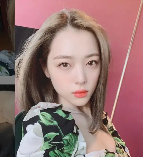 [단독] 설리 최측근 