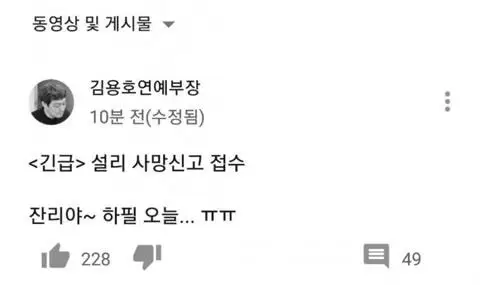 김용호 연예부장 실시간 댓글 수준 (feat.설리)