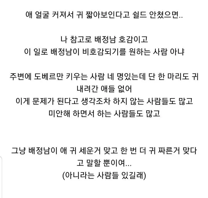 배정남 개 귀 변화