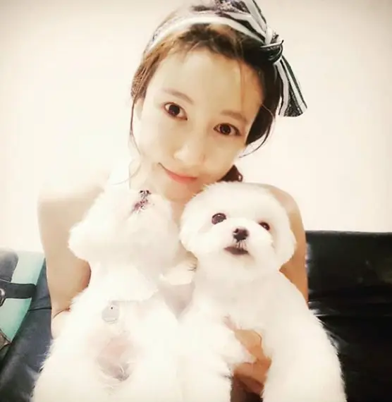 배우 채민서, 4번째 음주운전으로 역주행 사고 내고 '집행유예'