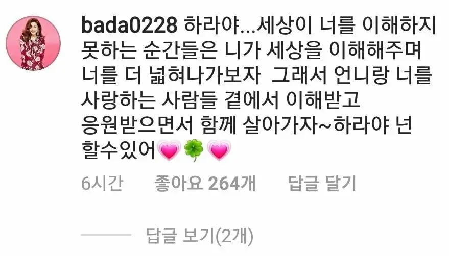 구하라 인스타그램에 댓글 남긴 SES 바다