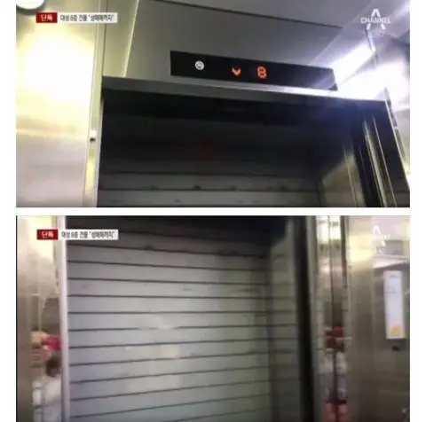 대성 건물 8층 입구