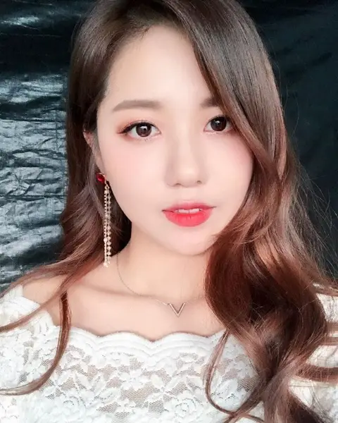 '미스트롯' 정다경, 걸그룹 보컬 서바이벌 'V-1' 지원