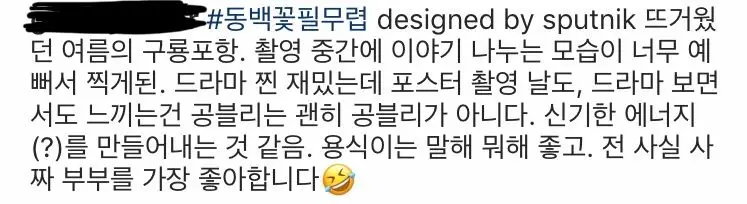 동백꽃 포스터의 비밀