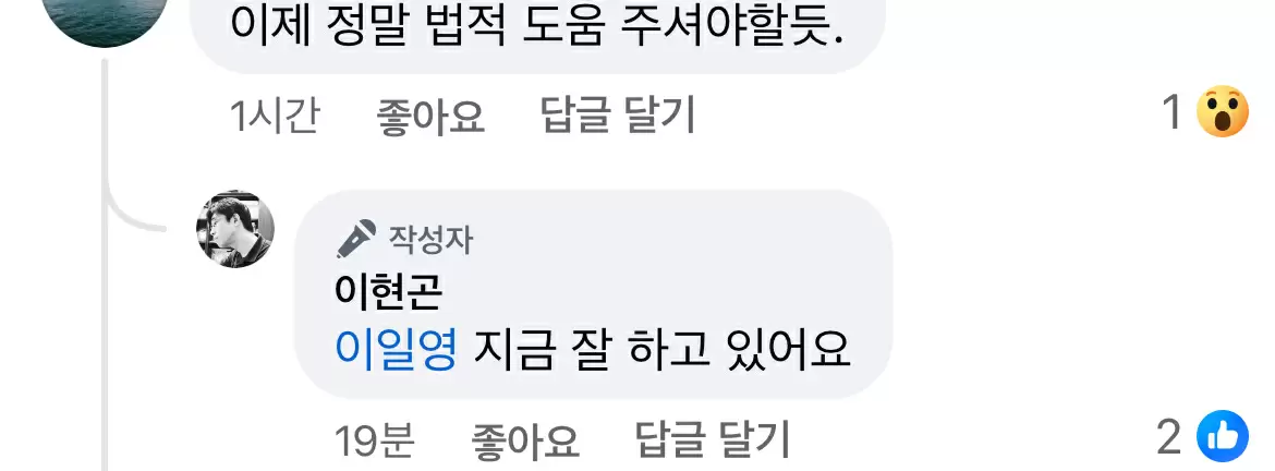 뉴진스 관련 이현곤 판사출신 변호사님 페북