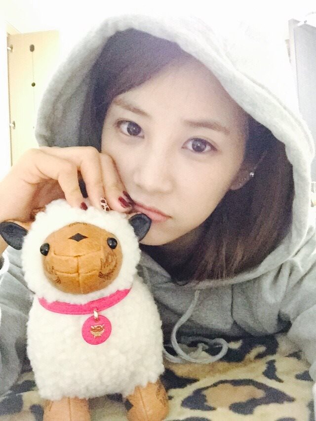 초롱(에이핑크) 150104 페북 - 양띠인 저에게 양을 한마리...선물해주셨습니다!