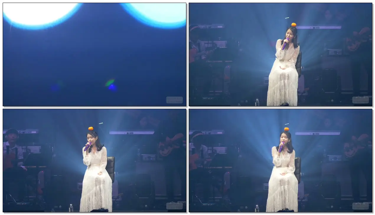 아이유-제주도의 푸른밤 직캠 by ㄴㄹ (190105 아이유 제주 콘서트)(IU-The Blue Night Of Jeju Island)